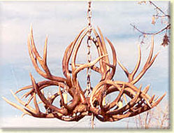 Adirondack Mule Deer Chandeliers, Chandeliers, ADIRONDACK CHANDELIERS, adirondack antler chandeliers, adirondack mule deer antler chandeliers