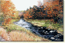 Adirondack Paintings, Prints,Wildlife Paintings, Oil Piantings, Adirondack Landscape Paintings, Landscape Paintings